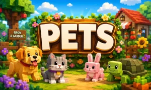 Pets